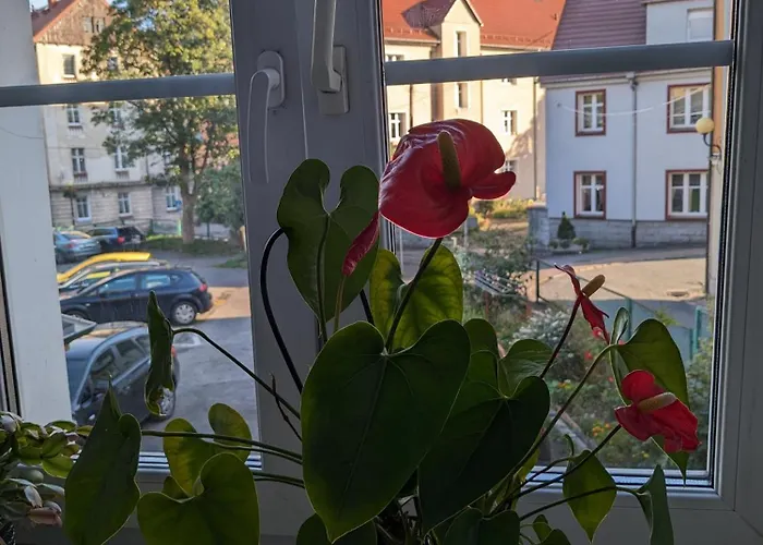 Apartament Na Klodzkiej